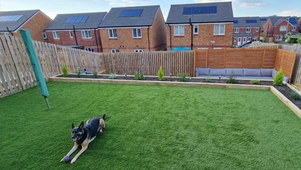 Pet-Friendly Turf