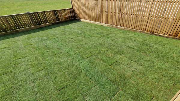 Aftercare for Lawn